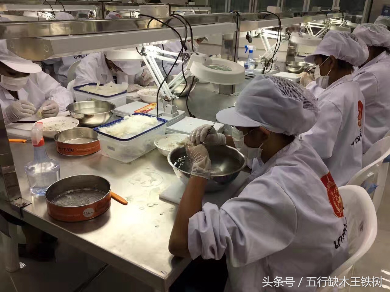 泰国燕窝什么工艺,泰国燕窝知识