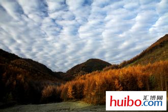 重庆最穷和最富的2个县,重庆最穷的和最富的两个县