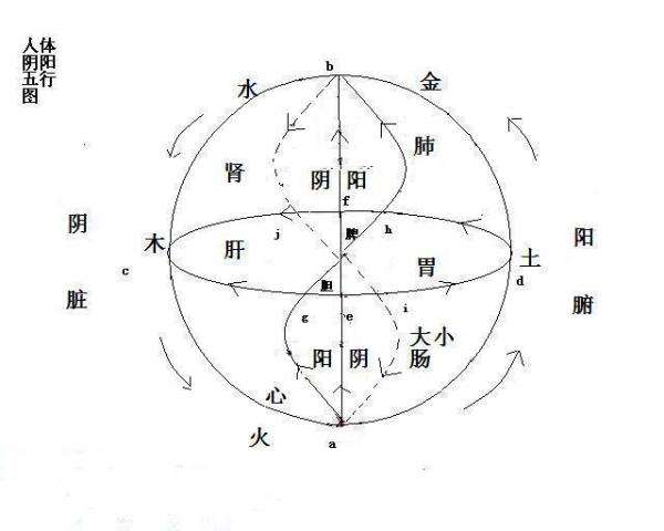 人体阴阳失衡是什么症状,男性阴阳失调的症状