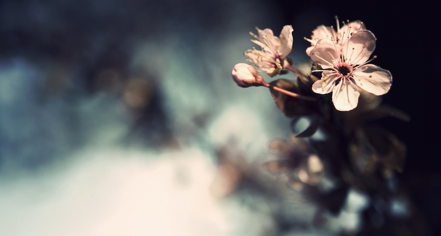 黏膜炎怎么解决,黏膜慢性炎吃什么食物