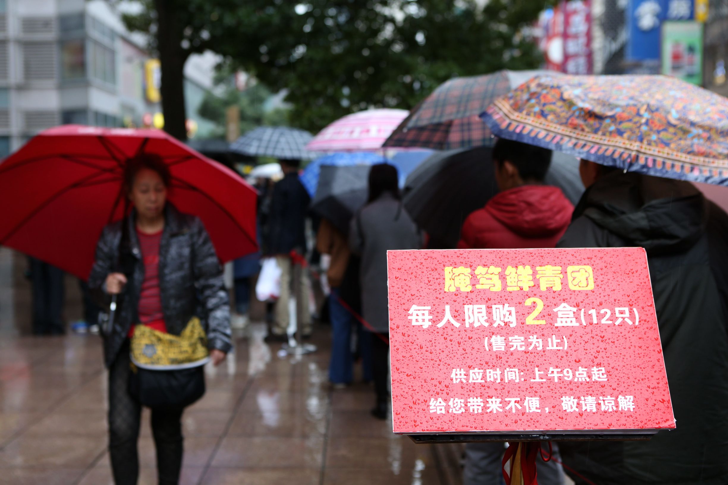 上海新雅腌笃鲜青团,上海正宗腌笃鲜