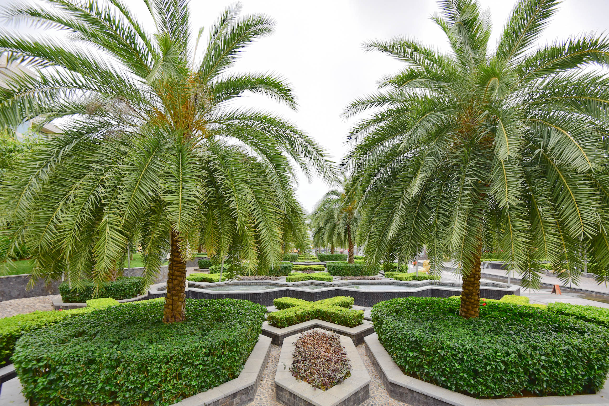 那片天空那片海这里的美人鱼不会游泳