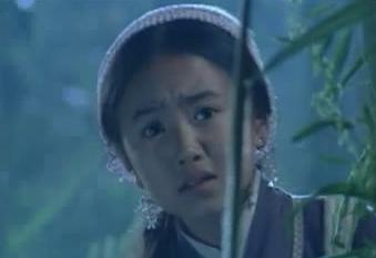 陆毅少年包青天简介,陆毅版包青天的主要演员名单