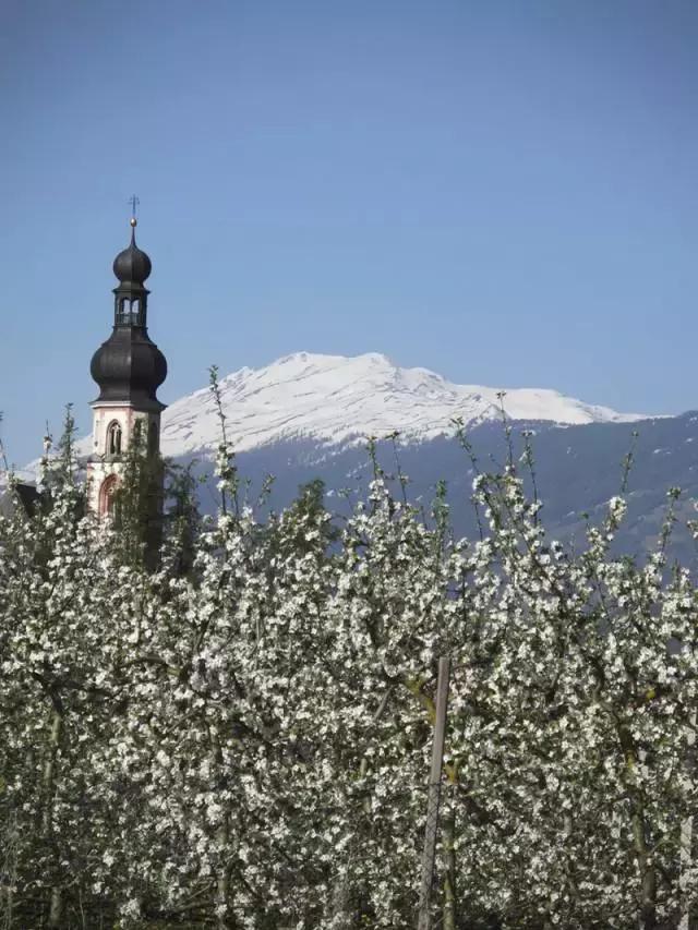 来奥地利，拥抱阿尔卑斯