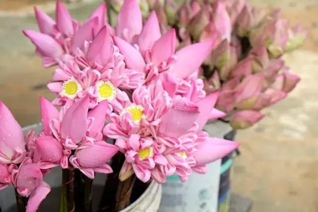 孤独星球最佳旅游地区,孤独星球最佳旅游地