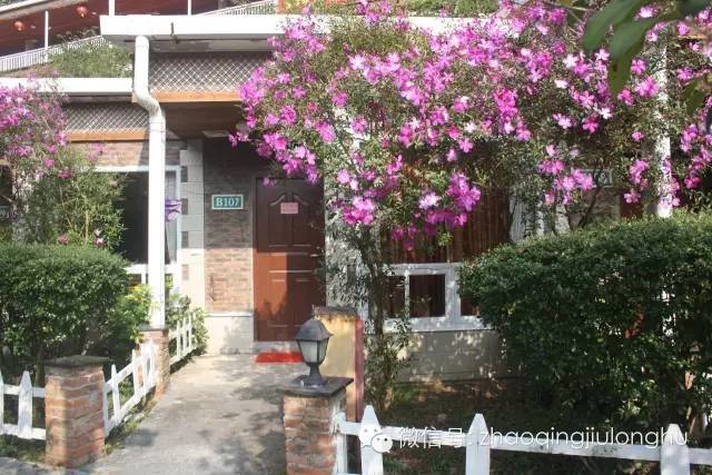 国庆期间花果山属猴的免门票吗,属猴的去花果山要门票吗