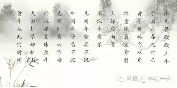 我有传家宝节目视频,我有传家宝2016年