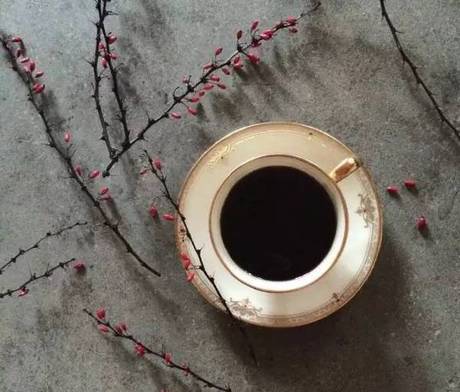 SusanCain：上天入地独一无二的你，又岂能被一个简简单单的“Leader”概括