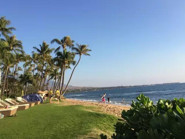 夏威夷毛伊岛旅行记 (毛伊岛旅游必做的100件事)