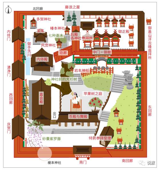 紫藤的四月美景,日本著名紫藤景点