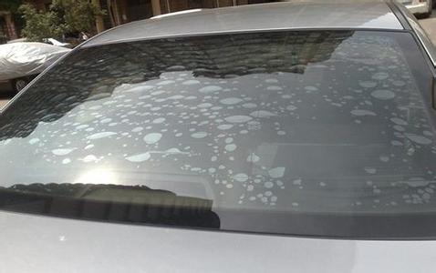 汽车太阳膜起泡能晒干吗,汽车维修太阳膜起泡视频
