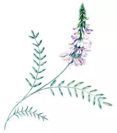 降脂降糖降压妙方,降糖又能减重的降糖药