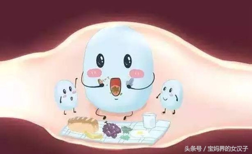 孕期美乐家益生菌的作用与功效,孕期吃益生菌哪个牌子的比较好