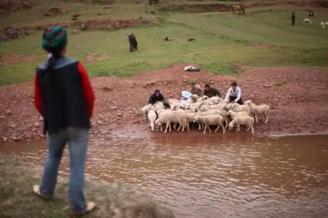 乐山每个区县名字,四川乐山省级贫困县名单