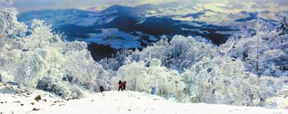 冬已去春将至配图,冬已去春归来此时花正开