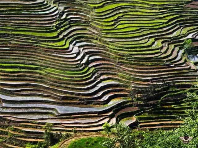 四峨梯田徒步,成都九月四姑娘山徒步一日游