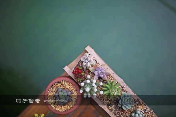 居于涟岸隐于湖,到肇庆体验离尘不离城的精致慢生活