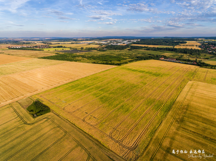 歌德与席勒,歌德为席勒写的诗