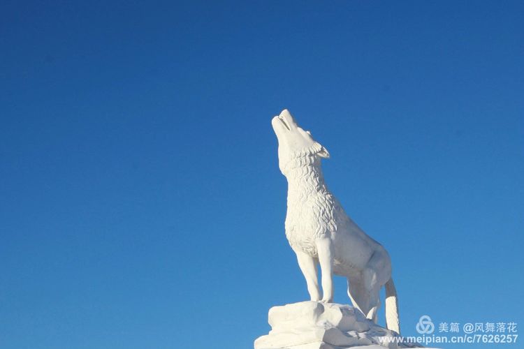 白狐千年等待只为今生相遇,白狼一生只爱一人