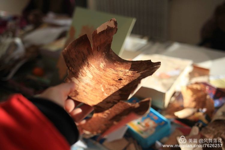 白狐千年等待只为今生相遇,白狼一生只爱一人