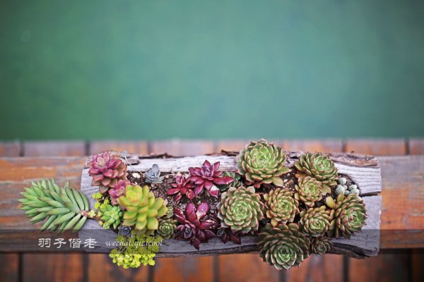 居于涟岸隐于湖,到肇庆体验离尘不离城的精致慢生活