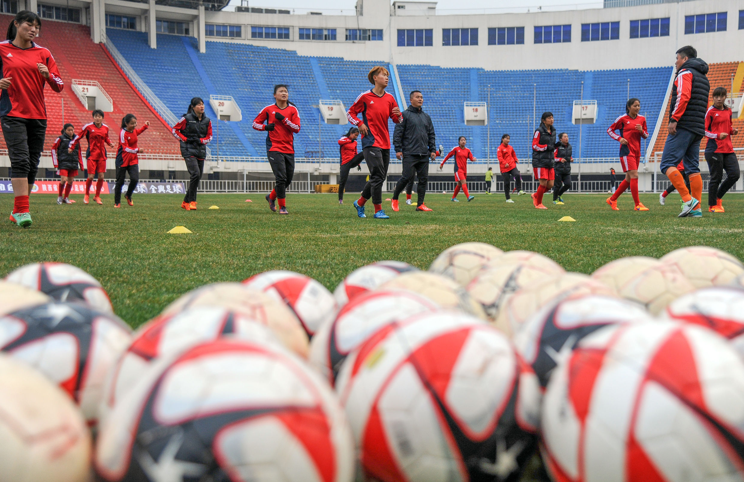 3月12日到省体看陕西“玫瑰”炫丽绽放