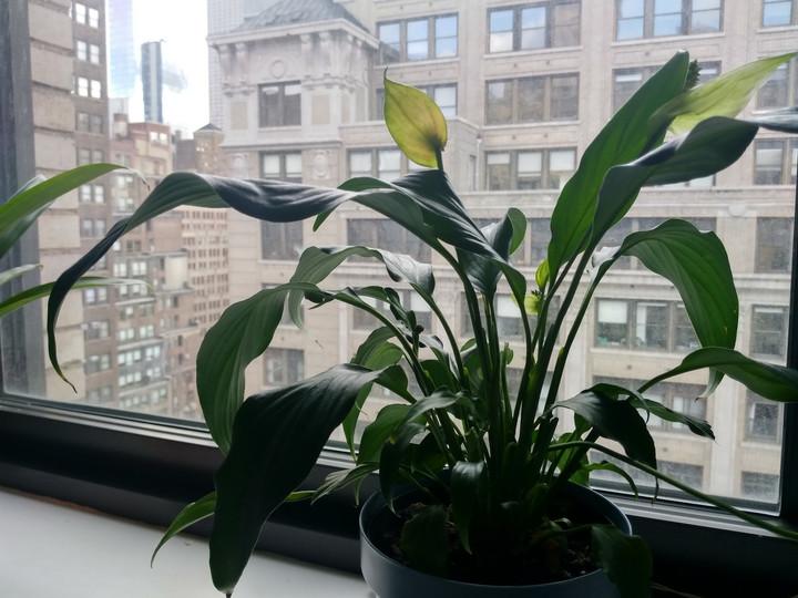 中兴axon7玩游戏,中兴axon75g