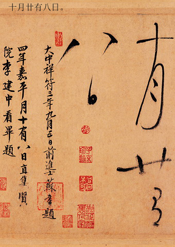 书中五要之三：养