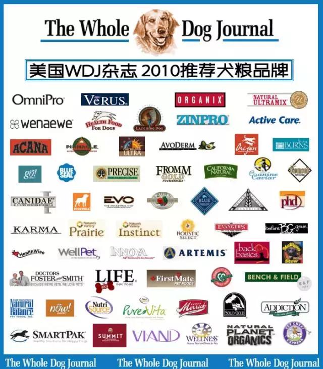 幼犬吃劣质狗粮会怎么样,长期吃劣质狗粮导致肾衰