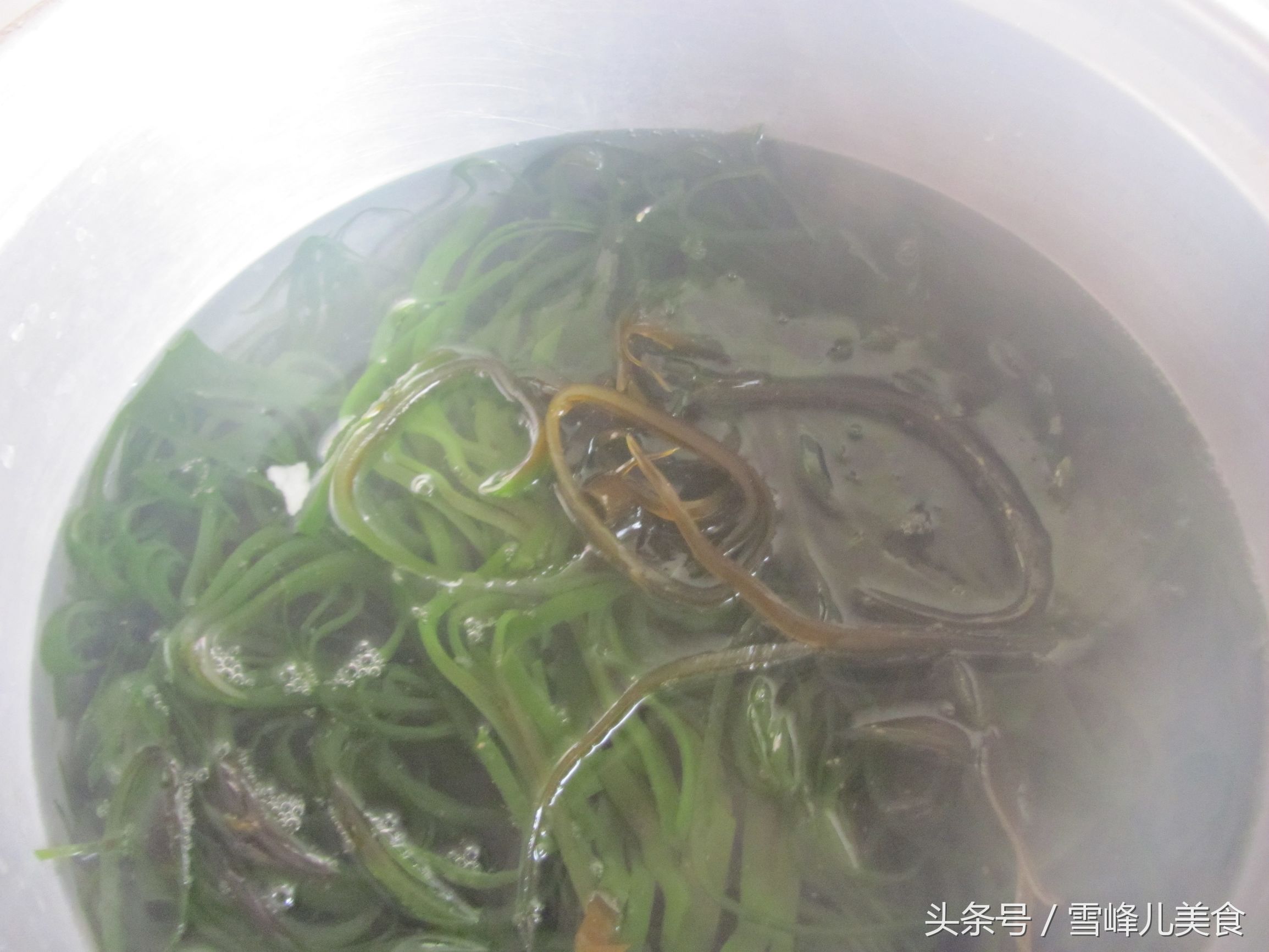 新鲜海带买回家怎样处理最好,今年的鲜海带怎么样处理