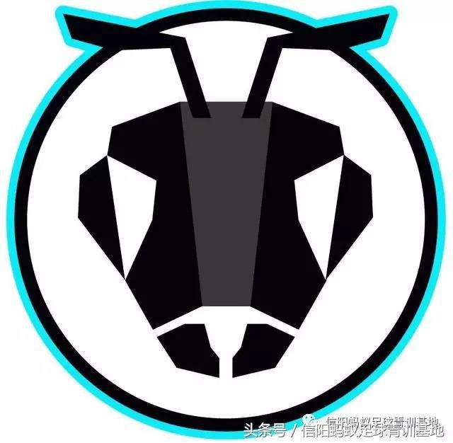 2017“我爱足球”信阳市康乐体育城足协杯四分之一决赛集锦