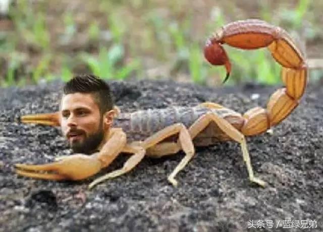 足坛十大逆天倒钩破门,足球十大倒钩进球排行榜