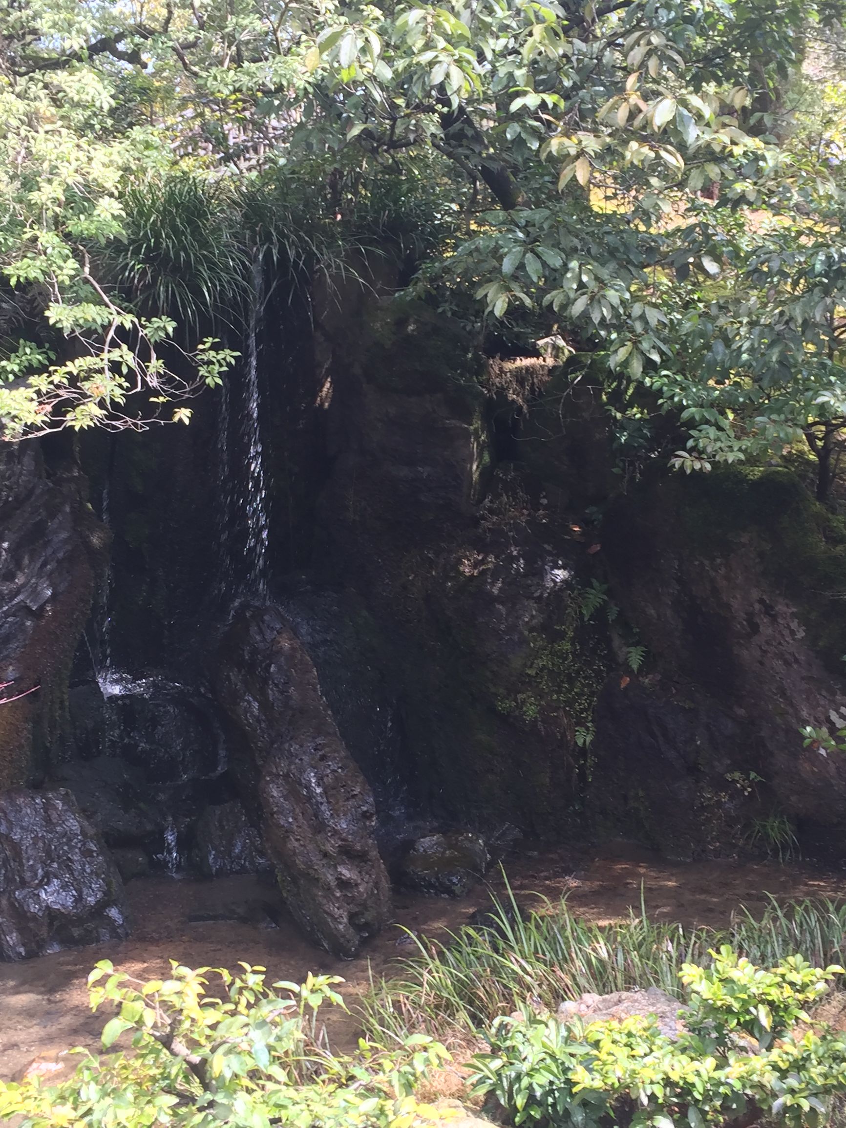 茶之道在于心静,茶是心静的良药