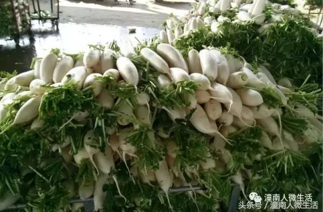 潼南附近的城市好玩的地方,潼南是不是个好地方