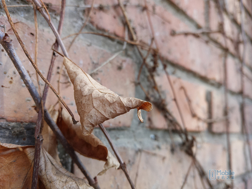 美图t8s测评视频,美图t8自拍手机