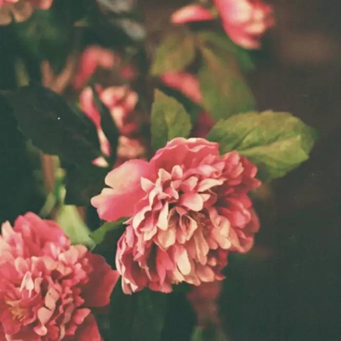 人生的三个境界，你到了哪一层？