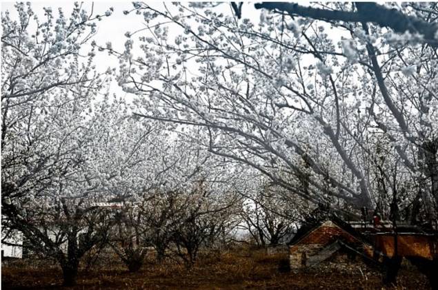 春暖花开踏青正当时完整版,春暖花开踏青季攻略