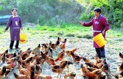 3.15消费指南，巴中这么多产品都被“曝光”啦~