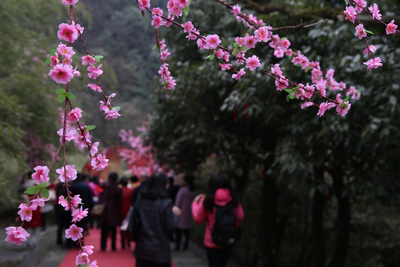 女神节专用红包,微信女神节专用红包