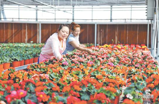 献给豁达善良知性的女人,献给所有温柔善良的女性