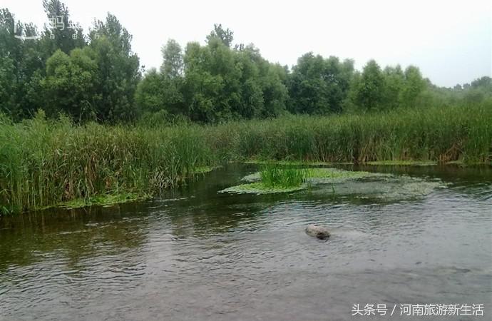 适合情侣河南旅游的地方,河南最适合情侣旅游的地方