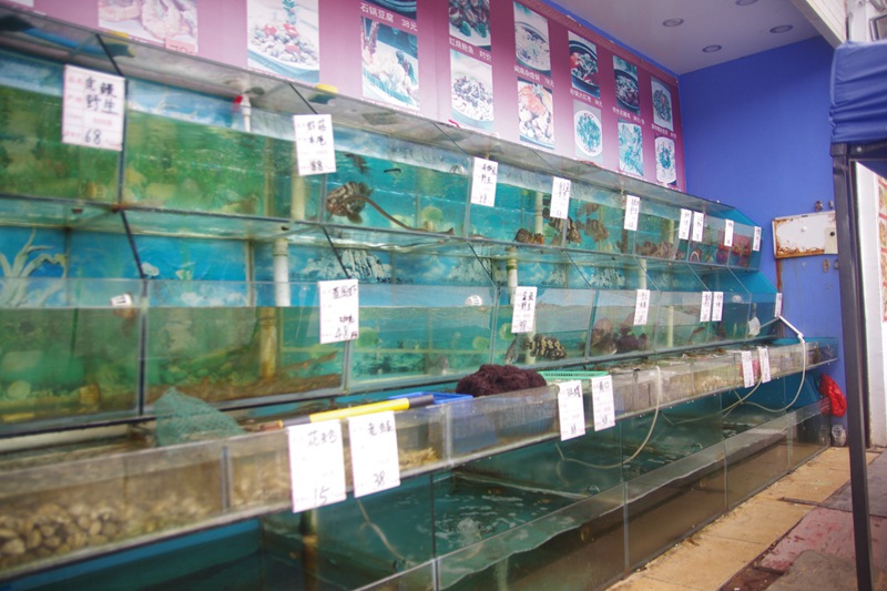 又一只外酥里嫩的烤全羊出炉了,这家的烤全羊最好吃又香又脆