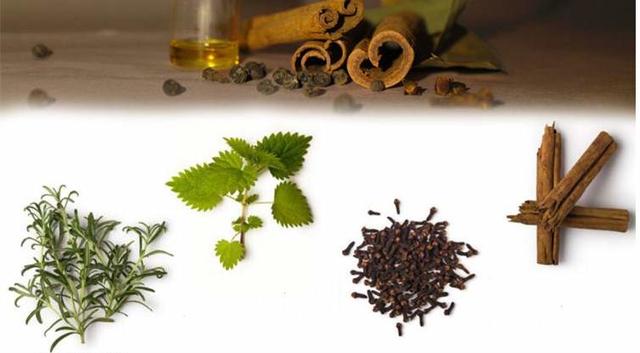 lush美妆品牌,lush美白产品