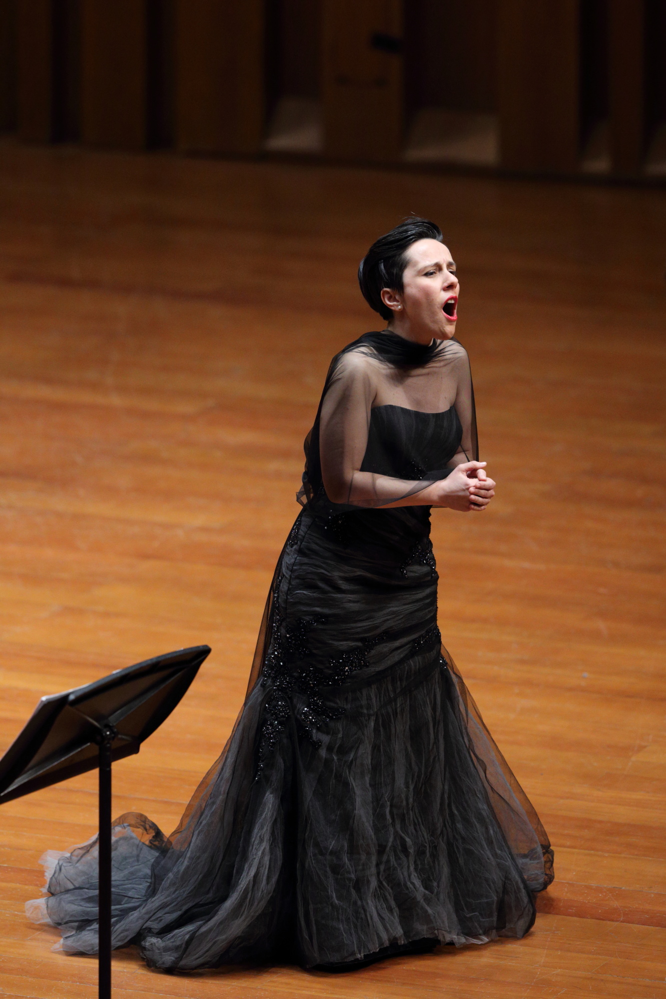 歌剧奥菲欧的灵魂之舞,歌剧奥菲欧序曲