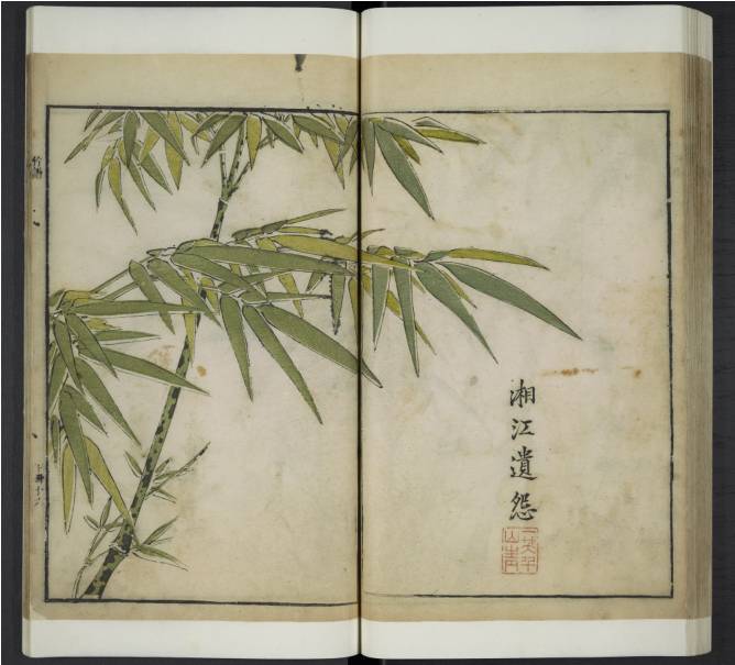 齐白石与芥子园画谱之缘,齐白石画作大全集