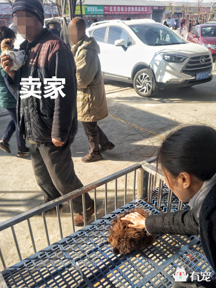 鐙楀競鎺㈣ (鎺㈣鐙楀競)