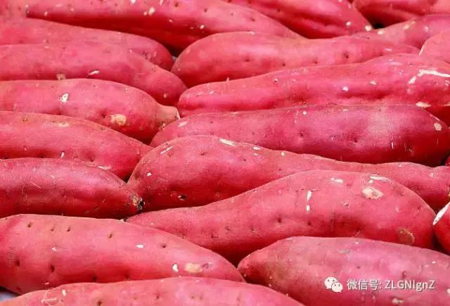 在餐桌上烹饪的菜,在餐桌上的菜