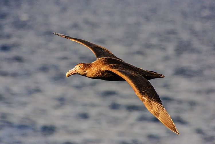 嗨哩文旅丨在世界的尽头的九个日日夜夜