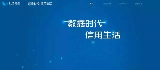 特劳特战略定位咨询什么意思,特劳特定位引领战略