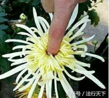 315曝光的家居物件,315曝光家具名单